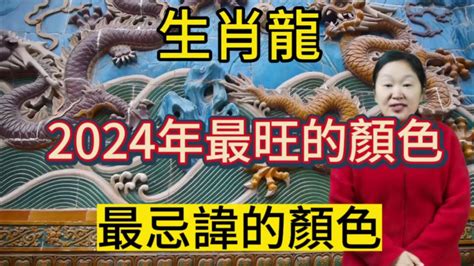 屬狗的顏色|2024年運勢大揭秘：生肖狗的幸運數字、顏色和貴人。